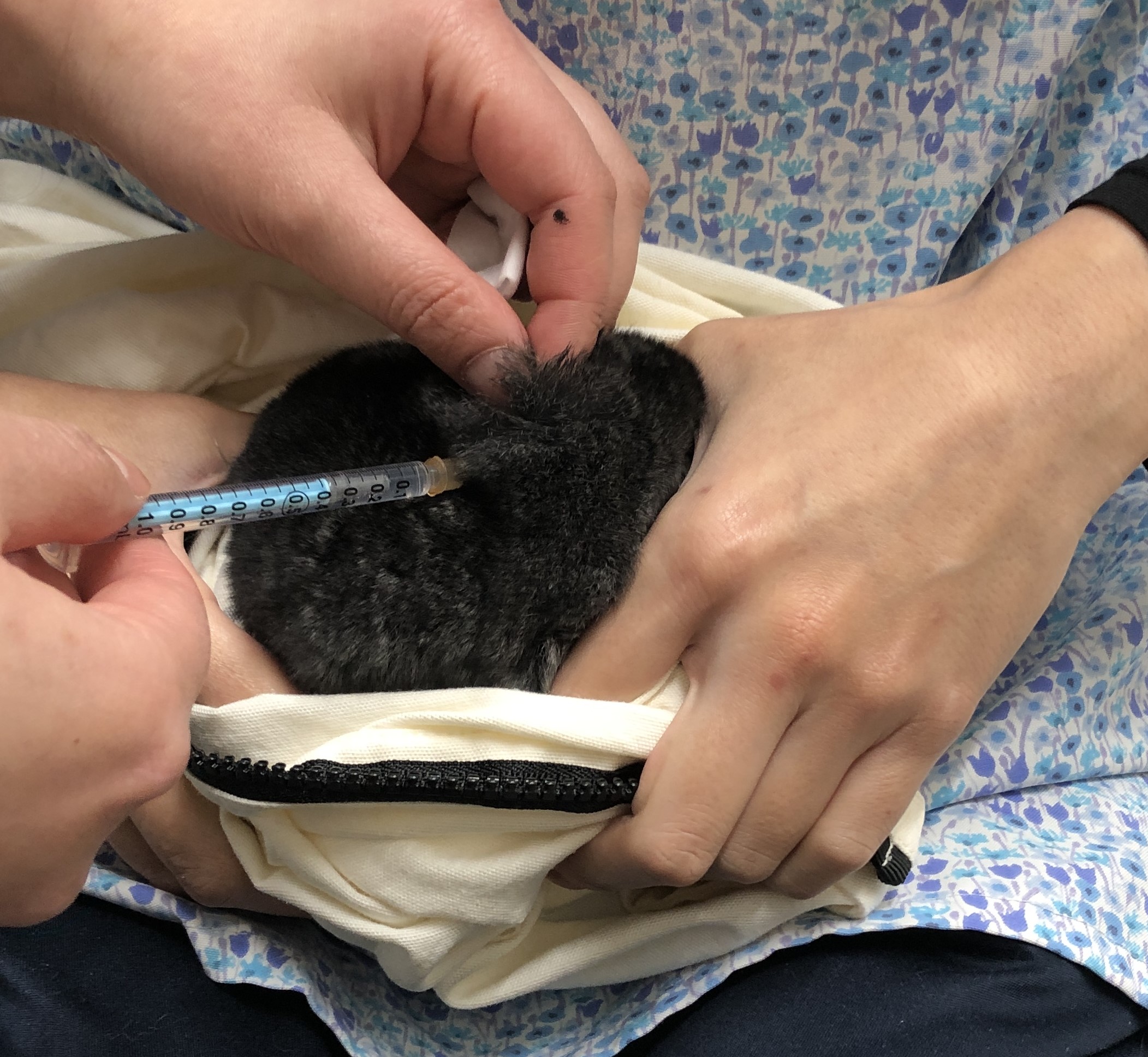 鎮静処置の様子