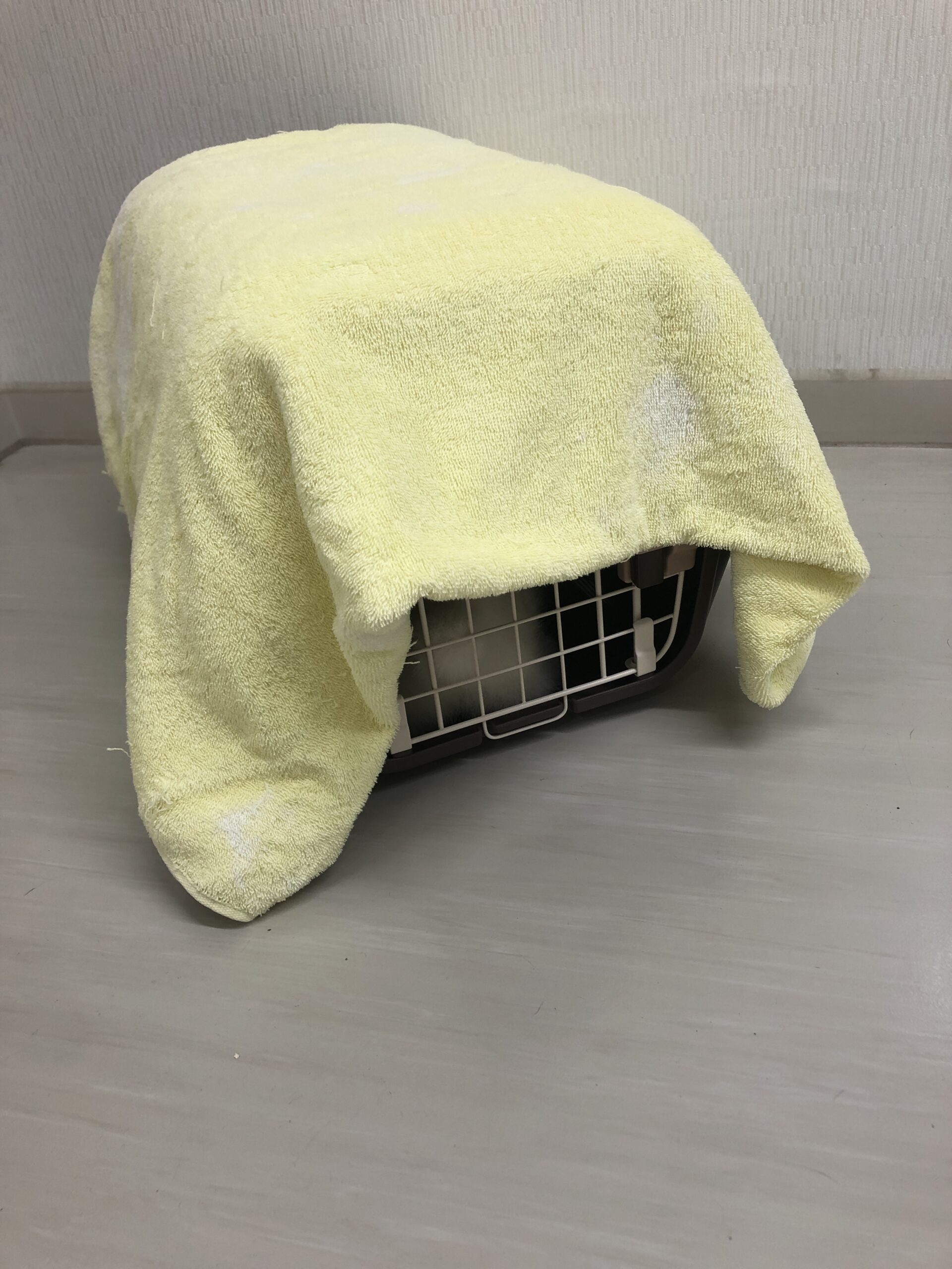 目隠しで不安を軽減