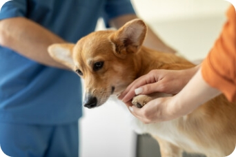 2b33fd0b25017c9709bdac110199872e